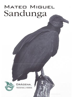cover image of Sandunga